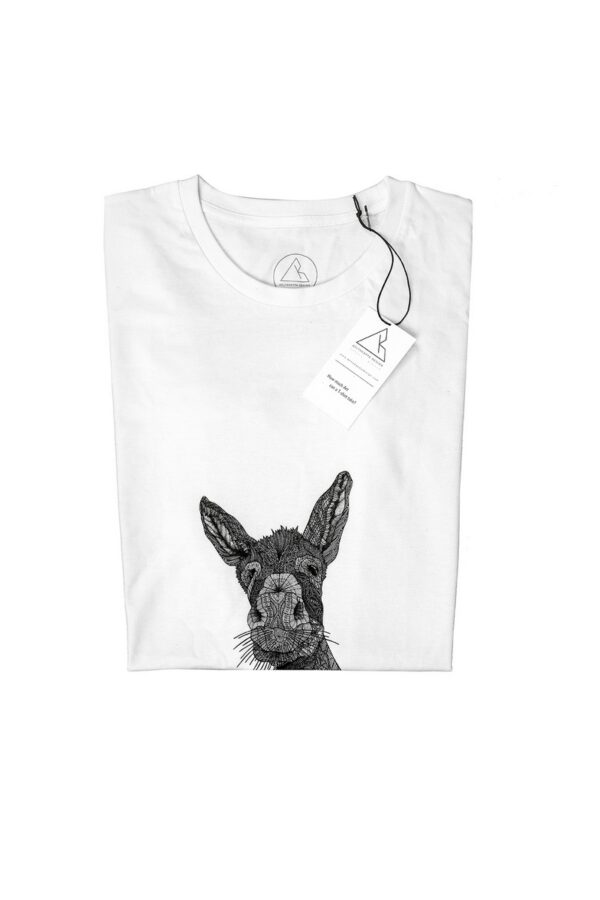 T-donkey_2